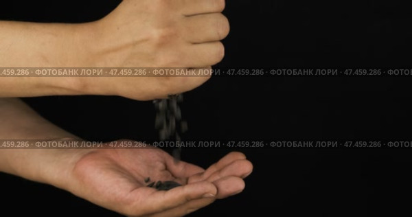 Человеческие руки держат и высыпают на ладонь горсть семян подсолнечника. Зерна на ладони. Стоковое видео, видеограф Александр Собко / Фотобанк Лори
