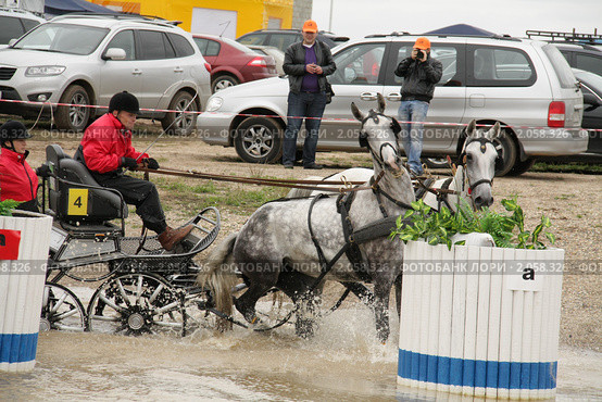 Чемпионат России по драйвингу 2010 в КСК "Свечинский". Экипаж С. Спектра (Россия) преодолевает водное препятствие. Редакционное фото, фотограф Устинова Мария / Фотобанк Лори