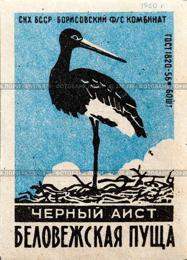 Чёрный аист. Серия "Беловежская пуща". Спичечные этикетки СССР. 1960. Редакционное фото, фотограф Сергей Афанасьев / Фотобанк Лори