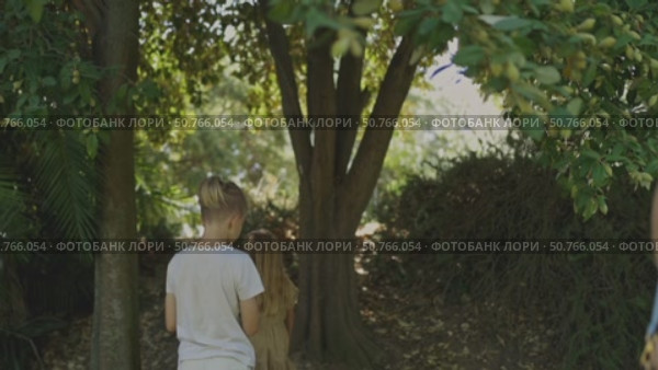 Children playing hide and seek in a sunny park. Стоковое видео, видеограф Константин Шишкин / Фотобанк Лори