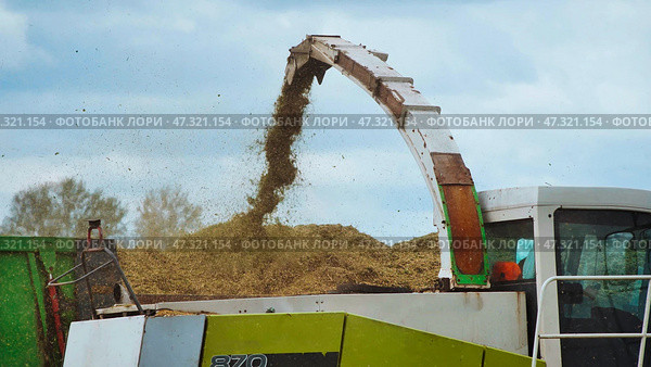 Claas jaguar 870 forage harvester loading chopped silage into trailer for transport to storage. Стоковое фото, фотограф Mikhail Davidovich / Фотобанк Лори