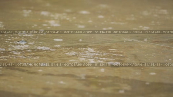 Close-up of a concrete surface soaked with rain, with droplets falling on it. Slow motion of raindrops. Стоковое видео, видеограф Воловодов Владимир / Фотобанк Лори