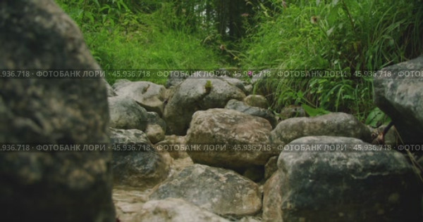 Close-up of a rocky hiking trail and brook with crystal clear water surrounded by green plants and moss in the Austrian wilderness. Стоковое видео, видеограф Igor Tichonow / Фотобанк Лори