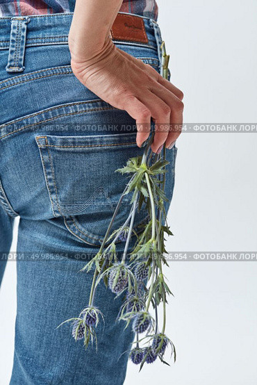 Close-up of a woman in blue jeans is holding an eryngium flower. View from the back. Holiday.. Beautiful blue flowers eryngium holds a woman. Стоковое фото, агентство Ingram Publishing / Фотобанк Лори