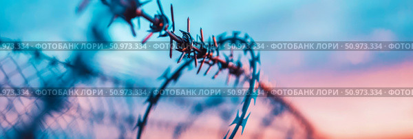 Close-up of formidable barbed and razor wire fencing, sharp and detailed against a beautifully blurred, gradient sky transitioning from vibrant teal to soft pastel pink, symbolizing boundaries and resilience. Стоковое AI-изображение, AI-художник Данила Большаков / Фотобанк Лори