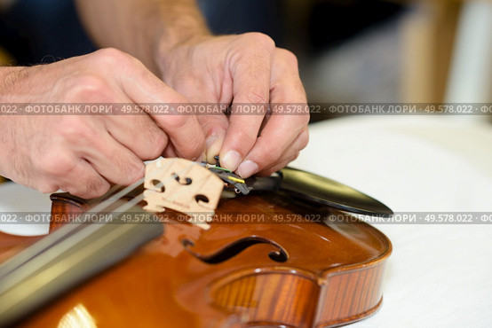 close up of hands putting new violin bridge. Стоковое фото, агентство Ingram Publishing / Фотобанк Лори