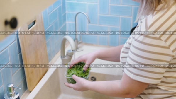 Close up of woman washing fresh green salad leaves under the faucet in stylish kitchen sink, splashes. Female hands rinsing lettuce with tap water. Food safety. Vegan vegetable leaf salad preparation. Стоковое видео, видеограф Марина Демидюк / Фотобанк Лори