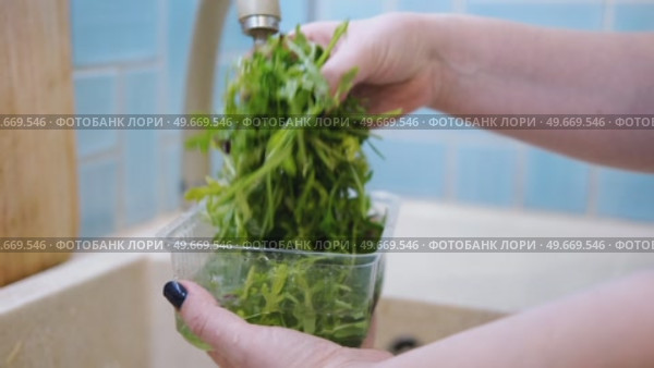 Close up of woman washing fresh green salad leaves under the faucet in stylish kitchen sink, splashes. Female hands rinsing lettuce with tap water. Food safety. Vegan vegetable leaf salad preparation. Стоковое видео, видеограф Марина Демидюк / Фотобанк Лори