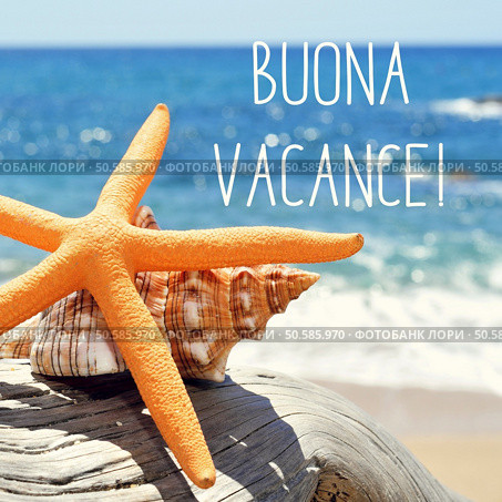 closeup of a yellow starfish and a conch on a weathered tree trunk on the beach, and the text buona vacance, happy vacation in italian. text buona vacance, happy vacation in italian. Стоковое фото, агентство Ingram Publishing / Фотобанк Лори