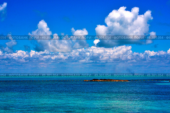 coastline and rock in the  blue lagoon relax  of isla contoy  mexico. Стоковое фото, агентство Ingram Publishing / Фотобанк Лори