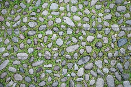 cobblestone texture with grass between blocks . Стоковое фото, агентство Ingram Publishing / Фотобанк Лори