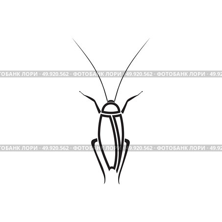 Cockroach icon . Стоковая иллюстрация, агентство Ingram Publishing / Фотобанк Лори