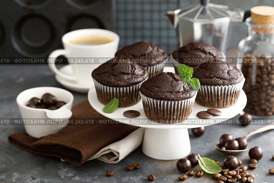 Coffee chocolate muffins for breakfast. Стоковое фото, агентство Ingram Publishing / Фотобанк Лори