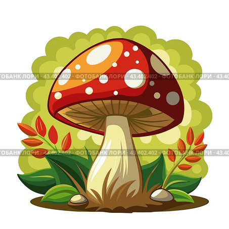 Colored vector illustration of One red fresh mushroom Fly agaric with green leaves isolated on a white background. Стоковая иллюстрация, иллюстратор Татьяна Куклина / Фотобанк Лори