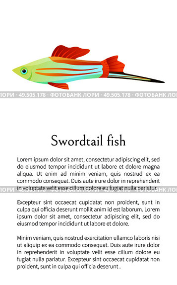 Colorful male swordtail fish isolated on white graphic. Freshwater aquarium fish icon on blank background, in cartoon style, vector illustration. Colorful Swordtail Fish Isolated on White Graphic. Стоковая иллюстрация, агентство Ingram Publishing / Фотобанк Лори