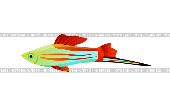 Colorful swordtail fish color vector illustration, underwater dweller with long appendix, set of flexible flippers and camouflage stripes on body. Colorful Swordtail Fish Color Vector Illustration. Стоковая иллюстрация, агентство Ingram Publishing / Фотобанк Лори