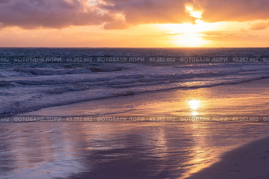 Colorful tropical landscape, sunrise over Atlantic Ocean, Bavaro beach (2022 год). Стоковое фото, фотограф EugeneSergeev / Фотобанк Лори