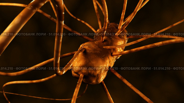 Conceptual biomedical illustration of gastroenteritis. Стоковое фото, фотограф Stocktrek Images, Inc. / ТАСС / Фотобанк Лори