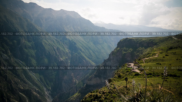 Condors above the Colca canyon at Condor Cross or Cruz Del Condor viewpoint, Chivay, Peru (2018 год). Стоковое фото, фотограф Сергей Майоров / Фотобанк Лори