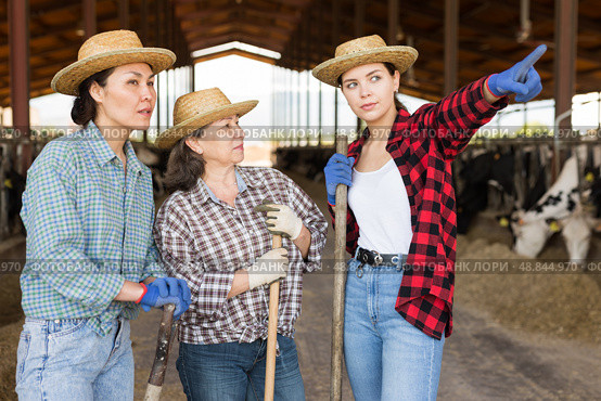 Conversation of farmers of different nationalities in cowshed. Стоковое фото, фотограф Яков Филимонов / Фотобанк Лори