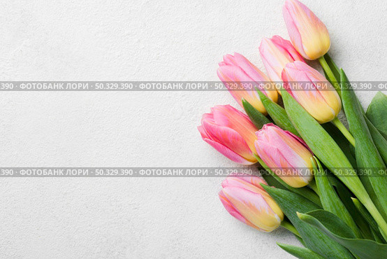 copy space tuilps bouquet. High resolution photo. copy space tuilps bouquet. High quality photo. Стоковое фото, агентство Ingram Publishing / Фотобанк Лори