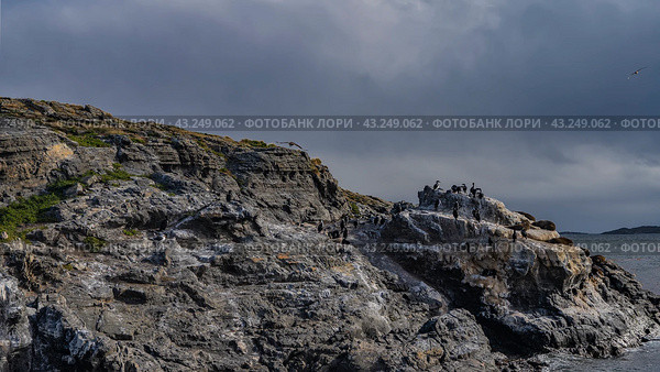 Cormorants are sitting on a rocky island in the Beagle Channel. Sea lions are resting on cliff ledges. Clouds in the sky. Isla de los lobos. Argentina. Tierra del Fuego Archipelago. Стоковое фото, фотограф Вера Ивановна Кубарева / Фотобанк Лори