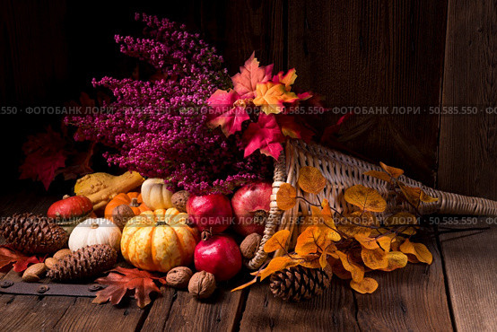 Cornucopia. Стоковое фото, агентство Ingram Publishing / Фотобанк Лори