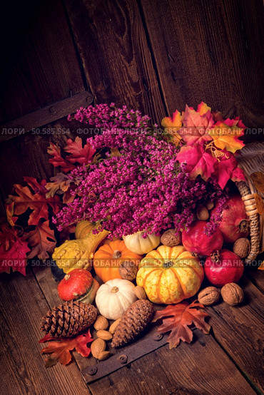 Cornucopia. Стоковое фото, агентство Ingram Publishing / Фотобанк Лори