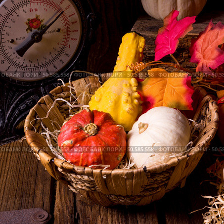 Cornucopia. Стоковое фото, агентство Ingram Publishing / Фотобанк Лори