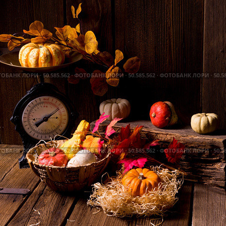 Cornucopia. Стоковое фото, агентство Ingram Publishing / Фотобанк Лори