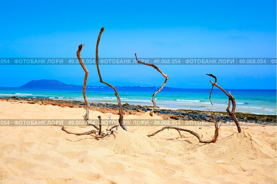 Corralejo Beach Fuerteventura at Canary Islands of Spain. Стоковое фото, агентство Ingram Publishing / Фотобанк Лори