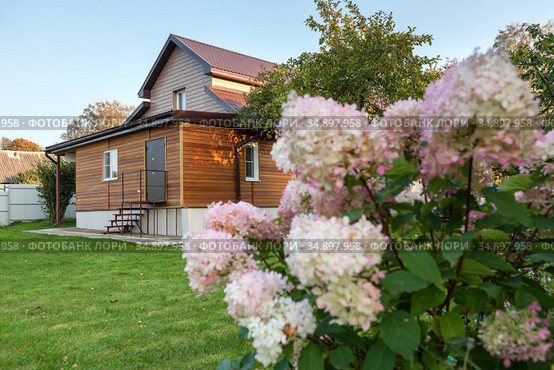 Country house with backyard, beautiful flowers are on foreground and empty green lawn is in front of cottage, nobody. Стоковое фото, фотограф Кекяляйнен Андрей / Фотобанк Лори