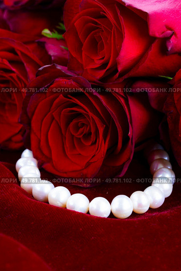 Crimson red rose flowers bouquet with pearls, Valentine’s Day background. Crimson red rose flowers. Стоковое фото, агентство Ingram Publishing / Фотобанк Лори