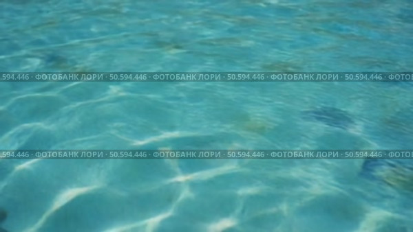 Crystal clear water glistening in swimming pool. Стоковое AI-видео, аниматор Юрий Поздников / Фотобанк Лори