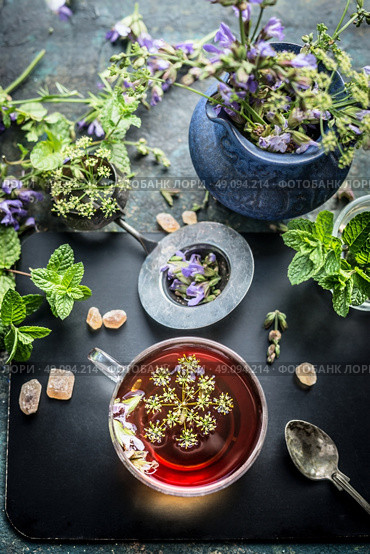 Cup of herbal tea with tea tools and various fresh herbs on dark aged background, top view. Healthy drinks, detox or clean food concept. Стоковое фото, агентство Ingram Publishing / Фотобанк Лори