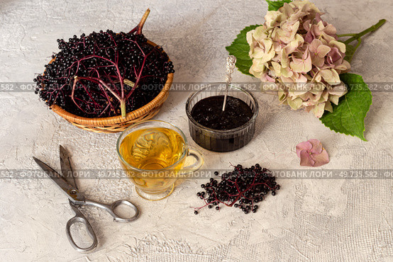 Cup of hot tea, branches of elderberry and jam from it close-up. Стоковое фото, фотограф Татьяна Ляпи / Фотобанк Лори