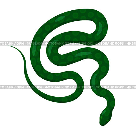 Curved slither python top view icon. Creeping glossy, green spotted tropical snake vector isolated on white background. Crawling poisonous reptile illustration for wild nature concepts, zoo ad. Стоковая иллюстрация, агентство Ingram Publishing / Фотобанк Лори