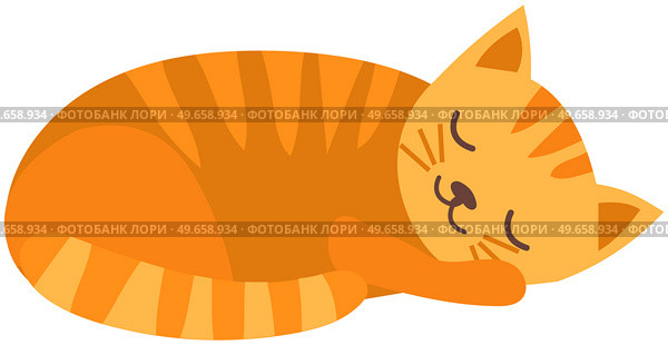 Cute, adorable cat sleeping isolated on white background. Fluffy pet lies curled up in ball. Ginger kitten lies with closed eyes. Animal living at home, cute pet. Red cat with long tail and hair. Ginger kitten lying with closed eyes. Animal living at home, cute pet, house cat sleeping. Стоковая иллюстрация, агентство Ingram Publishing / Фотобанк Лори