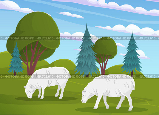 Cute white sheeps on meadow with green grass. Farm animals grazing in pasture. Sheeps, country inhabitants walking on rural land. Charming domestic cattle for meat and wool production companies. Cute white sheeps on meadow with green grass. Farm animals. country inhabitants grazing in pasture. Стоковая иллюстрация, агентство Ingram Publishing / Фотобанк Лори