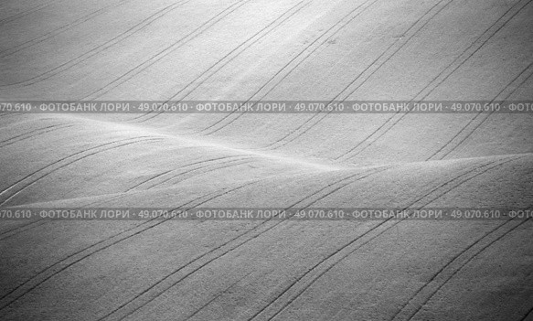 Czech Moravia hills. Agriculture . Arable lands in spring. Стоковое фото, агентство Ingram Publishing / Фотобанк Лори