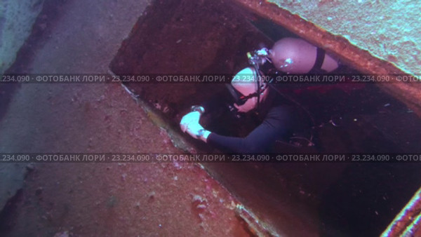Дайвер в Красном море. Стоковое видео, видеограф Некрасов Андрей / Фотобанк Лори