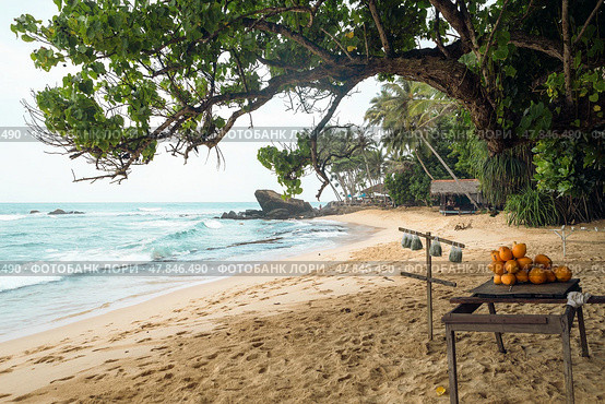 Dalawella Beach, Unawatuna, Sri Lanka. Стоковое фото, фотограф Андрей Иванов / Фотобанк Лори