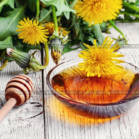 Dandelion honey. Saucer therapeutic honey made from dandelions in national recipe. Стоковое фото, агентство Ingram Publishing / Фотобанк Лори