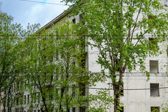 Decay amid Growth: Abandoned Building Facade Partially Obscured by Spring Foliage, Signifying Urban Neglect and Nature's Reclamation, расселенный реновационный дом под снос в Москве. Стоковое фото, фотограф Данила Большаков / Фотобанк Лори