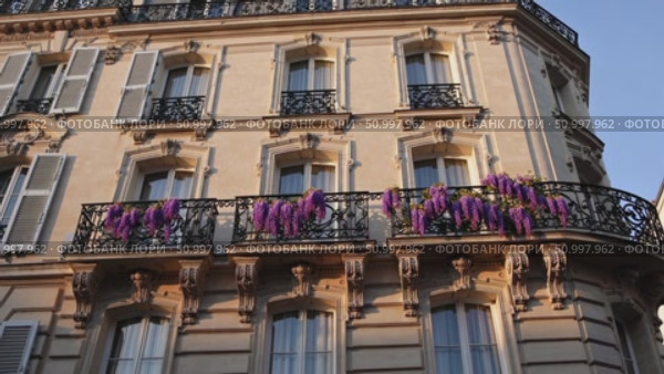 Delicate wisteria cascading down ornate balconies, draping historic Parisian architecture with lavender blooms under golden afternoon sunlight. Стоковое AI-видео, аниматор Данил Руденко / Фотобанк Лори