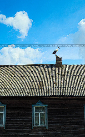 Деревенские зарисовки. Стоковое фото, фотограф Буковская Жанна Анатольевна / Фотобанк Лори