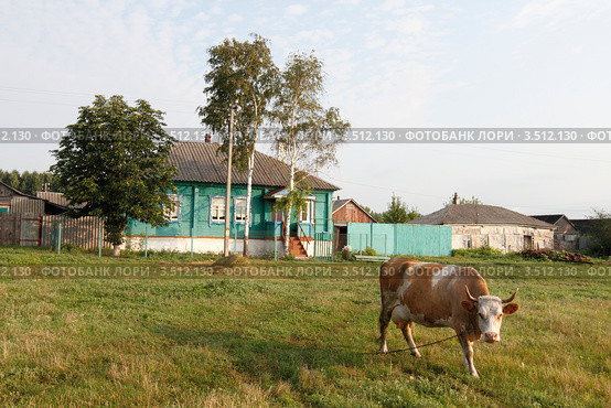 Деревня, Красный Лог в Воронежской области. Стоковое фото, фотограф Дмитрий Неумоин / Фотобанк Лори