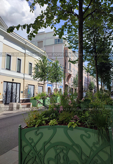 Деревья на улице Малая Дмитровка в Москве летом 2025. Редакционное фото, фотограф Ирина Климкович / Фотобанк Лори