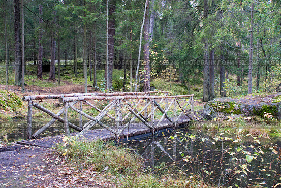 Деревянный мостик. Ньюфаундленд пруды. Парк Монрепо. Выборг. (2008 год). Редакционное фото, фотограф Александр Щепин / Фотобанк Лори