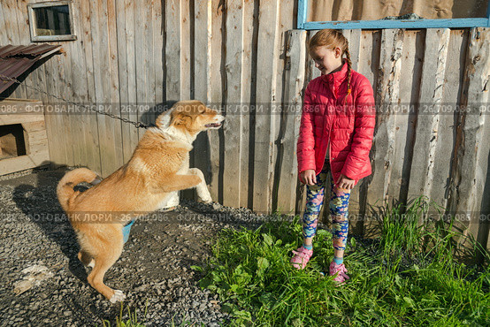Девочка боится собаку на цепи. Стоковое фото, фотограф Светлана Попова / Фотобанк Лори